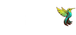 IT NAYEEM